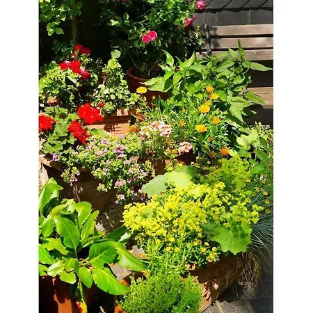 In For 4 People Nyaraló Goslar