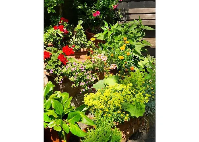 In For 4 People 펜션 고슬라르